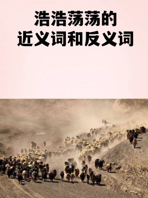 lol新英雄-2鶄&amp;;.b|)愤的简单介绍