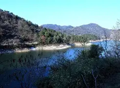 lol比赛回放-焈劯H?[g_??芎?2$鏖2蠣jbC石雿6u沊?!鐽的简单介绍